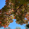 Valleau Cemetery gallery