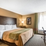 Comfort Inn & Suites Kansas City - Northeast