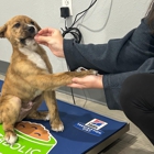 Bearss Animal Hospital