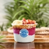 Nautical Bowls gallery