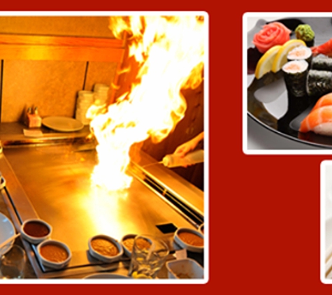 Shogun Japanese Steak House - Columbus, GA