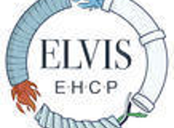 Elvis Electric Heating Cooling and Plumbing