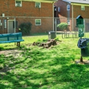 Poplar Village Apartments - Apartments
