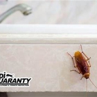 Dandi Guaranty Pest Solutions & Termite Protection