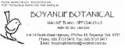 Boyanup Botanical Nursery - Nurseries - Retail