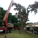 Odom's Beaches Tree Service - Landscaping & Lawn Services