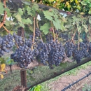 Robert Clay Vineyards Estate Winery & Tasting Room - Bars