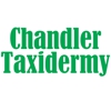 Chandler Taxidermy gallery