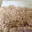 Complete Pest Control Services - Pest Control Equipment & Supplies