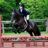 City View Equestrian, LLC gallery