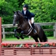 City View Equestrian, LLC