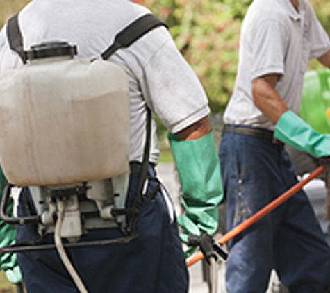 Sandia Pest Control - Albuquerque, NM