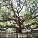 Safety Harbor Walking Tours - Historical Places
