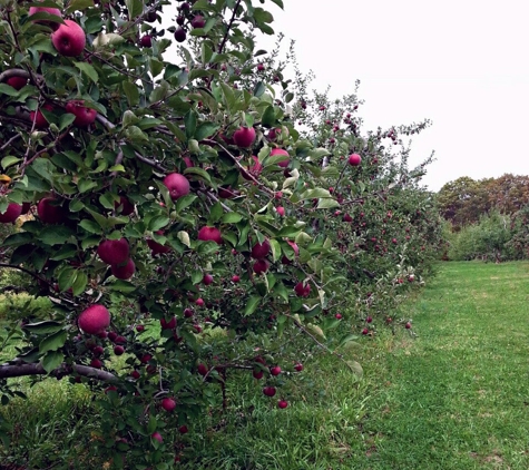 Wright's Farm and Fruit Stand - Gardiner, NY