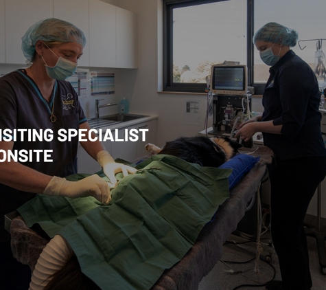 Torquay and Surfcoast Veterinary Clinics - Torquay, VIC. Puppy Pre‑School, Cattery & Cat Boarding Services Available