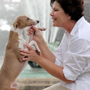 ABC Dogs,   Ann Becnel Companion Dogs, Inc - New Orleans, LA