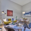 210 Main gallery