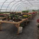 Mary's Plant Shoppe - Greenhouses