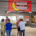 Christmas Tree Lot at Moon Valley Nurseries - Grapevine