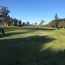 Miramar Golf Course - Golf Courses