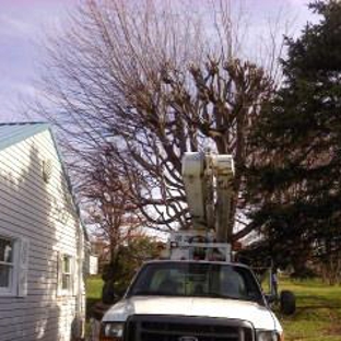 Fields Tree Service - Uniontown, PA