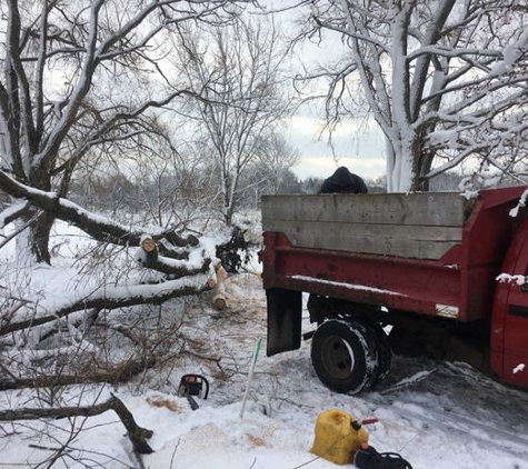 Roman Landscaping & Snowplow - Mundelein, IL