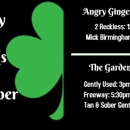 Angry Ginger Irish Pub - Irish Restaurants