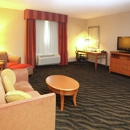 Hilton Garden Inn Chesapeake/Suffolk - Hotels
