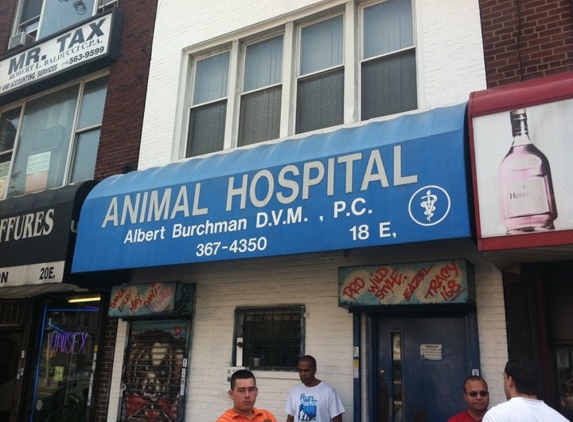 Armory Dog & Cat Hospital - Bronx, NY