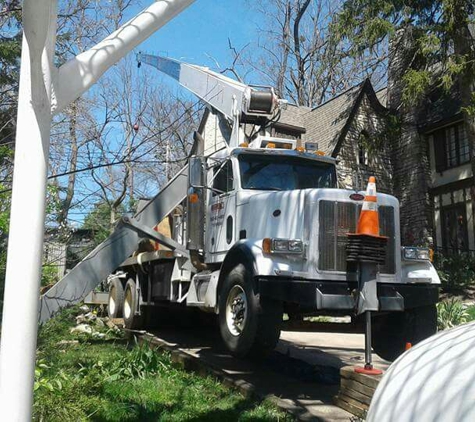 Reddy Red's Tree Service llc - New Albany, IN