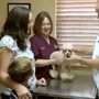 Garden Grove Animal Hospital