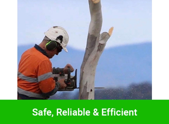 Horizon Tree Service - Lutana, TAS. Safe, Reliable & Efficient
