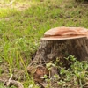 DuVall Tree Service gallery
