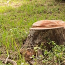 DuVall Tree Service - Tree Service
