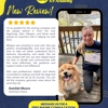 AK9A Alan's K9 Academy gallery