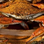 Abners Crab House