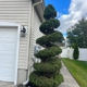 Mission Landscaping & Tree Service