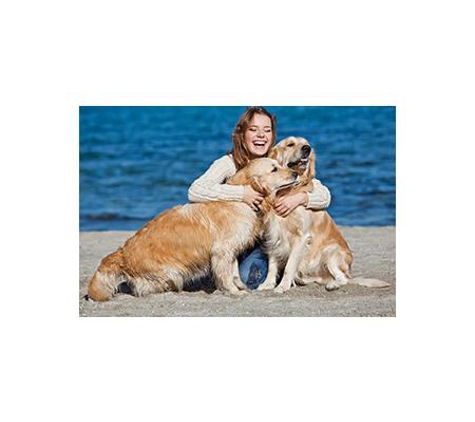 The Vet Group - Simpson, VIC