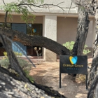 Orange Grove Dental