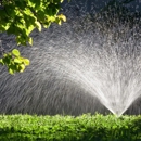 Timber Tree and Landscape - Landscape Contractors
