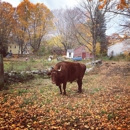 Indian Head Farm - Historical Places