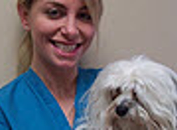 Twins Veterinary Hospital - Bay Shore, NY