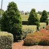 Roark Landscape gallery