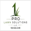 1 Pro Lawn Solutions LLC gallery