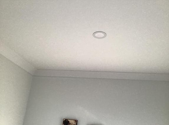 The Patch Dr. - St Kilda West, VIC. Fixed and painted ceiling