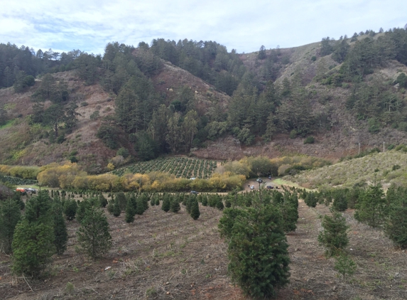 Santa's Tree Farm - Half Moon Bay, CA