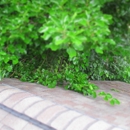 KDG Home Inspections - Real Estate Inspection Service