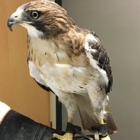 James River Animal Hospital