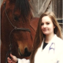 B-Line Equine Veterinary Services - Horse Breeders