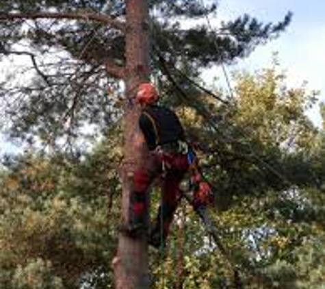 Joles Tree Service - Baton Rouge, LA